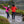 Pika - Womens Snowdon Waterproof Jacket (Pink)